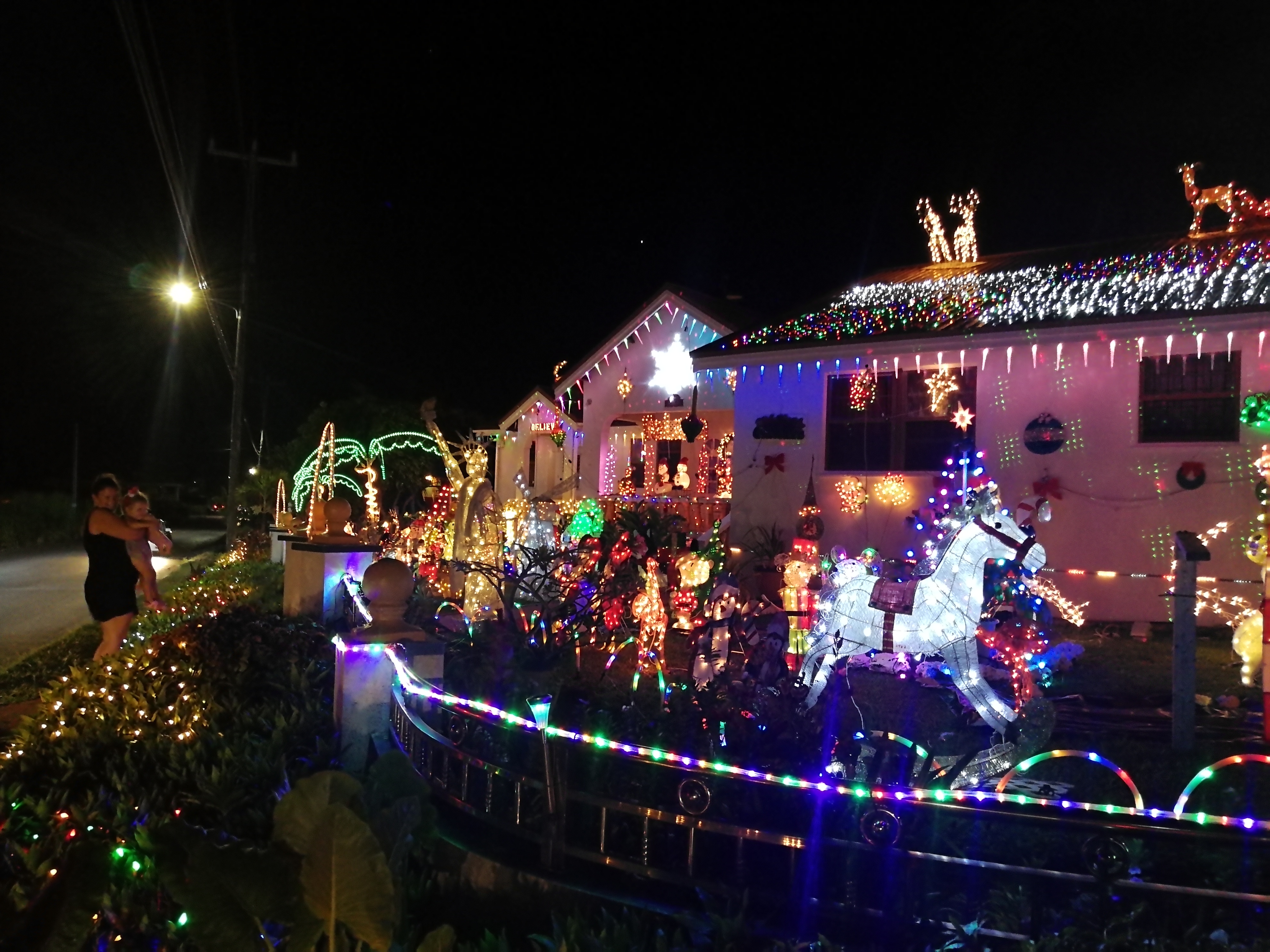 Festive House Lights