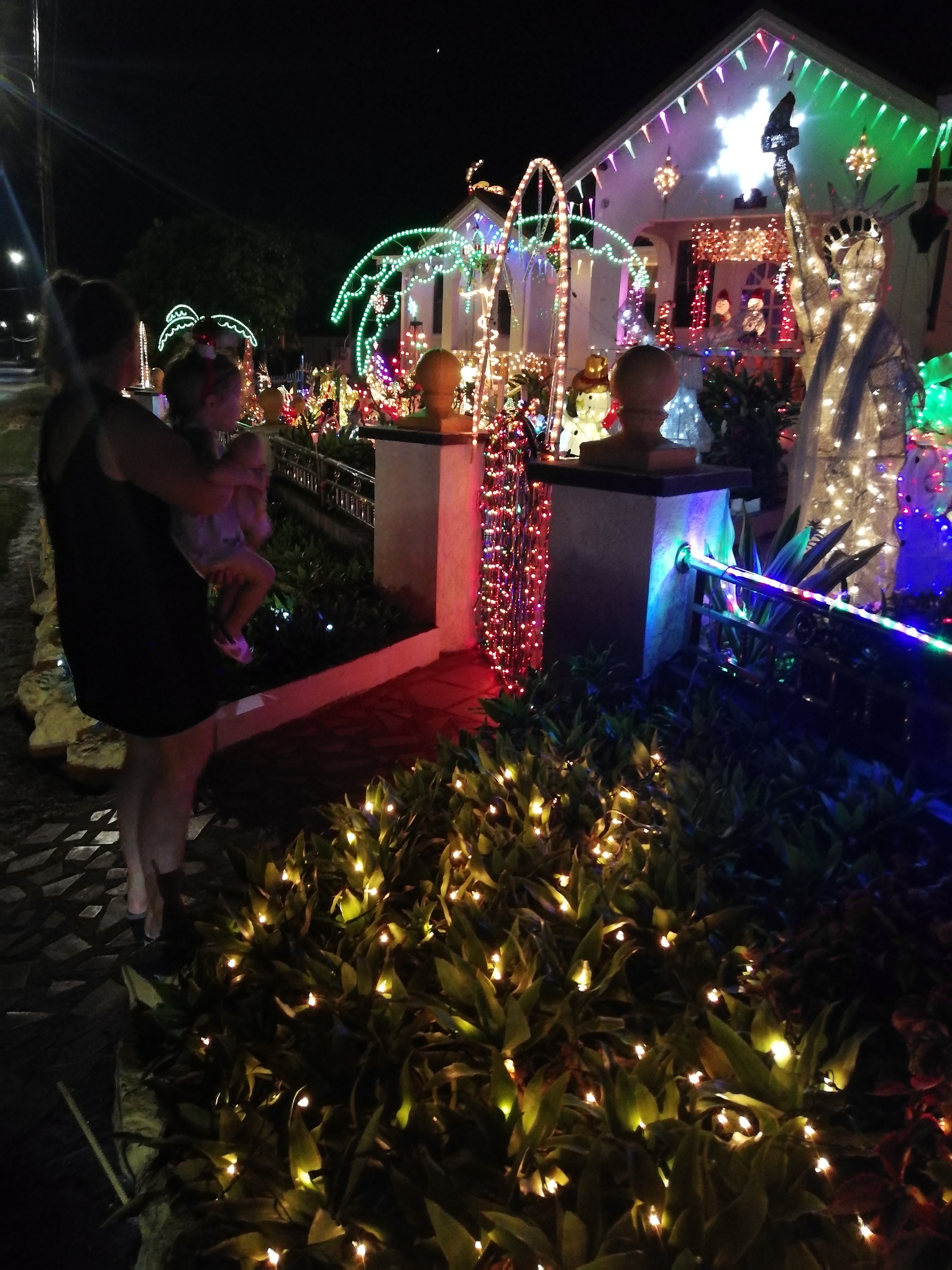 Palm Tree Lights
